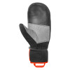 Pánské lyžařské rukavice Reusch WORLDCUP WARRIOR R-TEX XT MITTEN