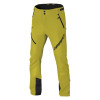 Pánske skialpové nohavice Dynafit MERCURY DYNASTRETCH PANTS  - zelená