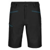 Pánske kraťasy Ortovox PELMO SHORTS  - čierna