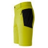 Pánske kraťasy Martini Sportswear ALPMATE HILL  - zelená