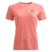 150 COOL MTN MISSION TS