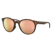 SPINDRIFT - MATTE BROWN TORTOISE PRIZM ROSE GOLD