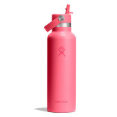 621 ML (21OZ)