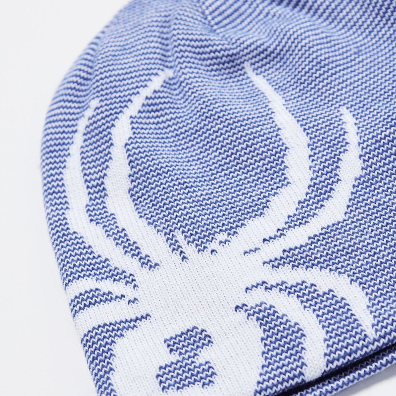 Chlapčenská čiapka Spyder REVERSIBLE BUG  - modrá