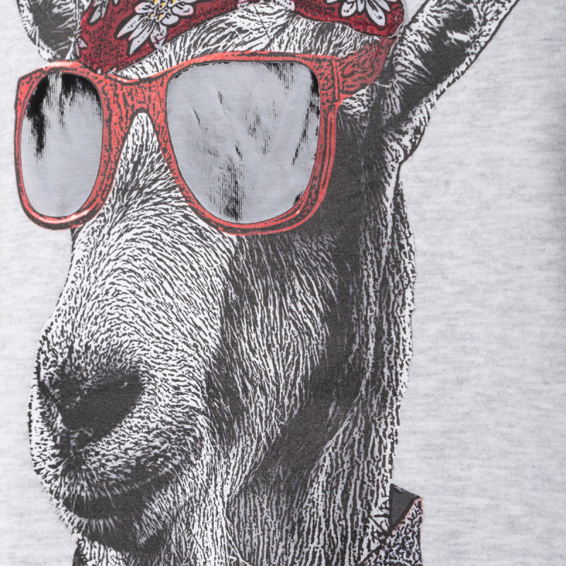 Pánské tričko Almgwand OISBERGALM  - světle šedá