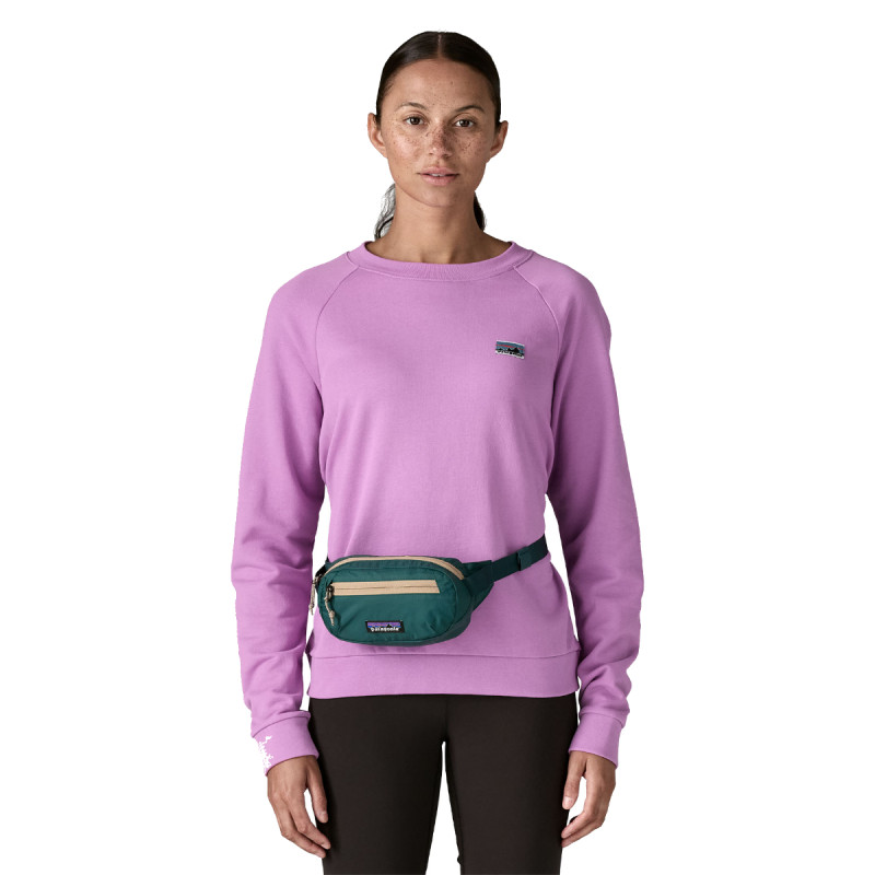 Ľadvinka Patagonia TERRAVIA MINI HIP PACK  - tmavo zelená