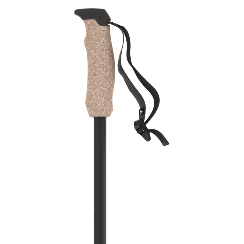 Lyžařské hole Atomic AMT CARBON