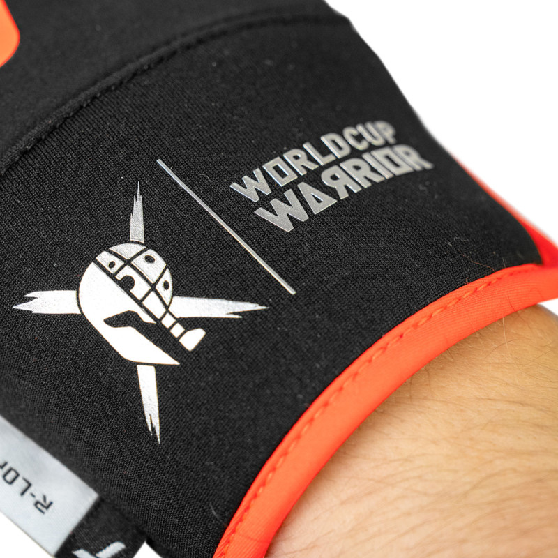 Lyžařské rukavice Reusch ALPINE MASTER