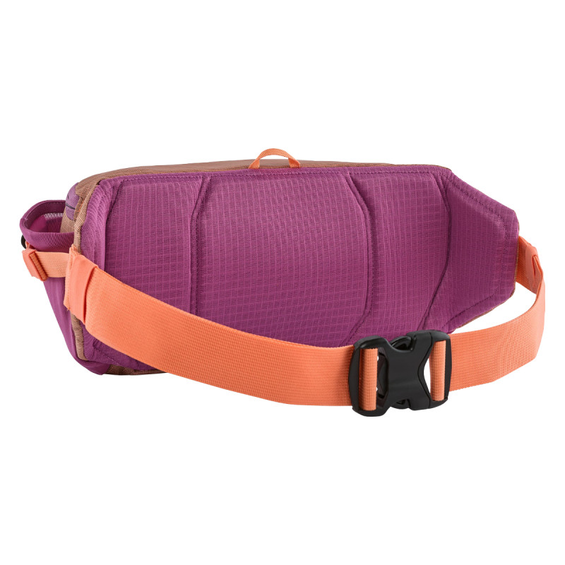 Ľadvinka Patagonia BLACK HOLE WAIST 5 L  - oranžová